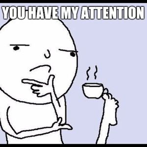 Meet your Posher, Ray